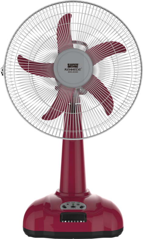 ​KENNEDE FAN - MODEL-IMG_5828